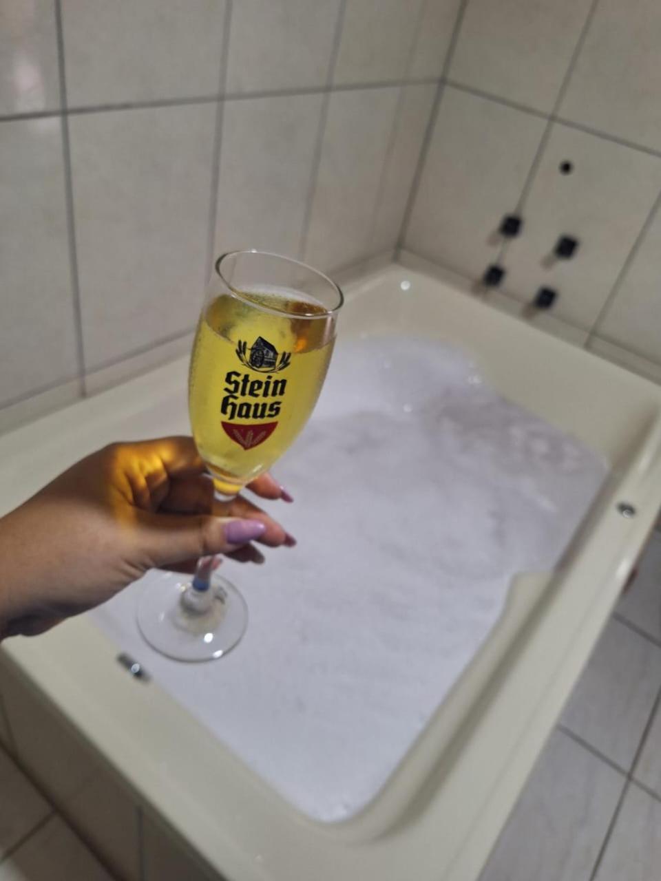 Pousada Stein Haus 皮卡达卡费 外观 照片