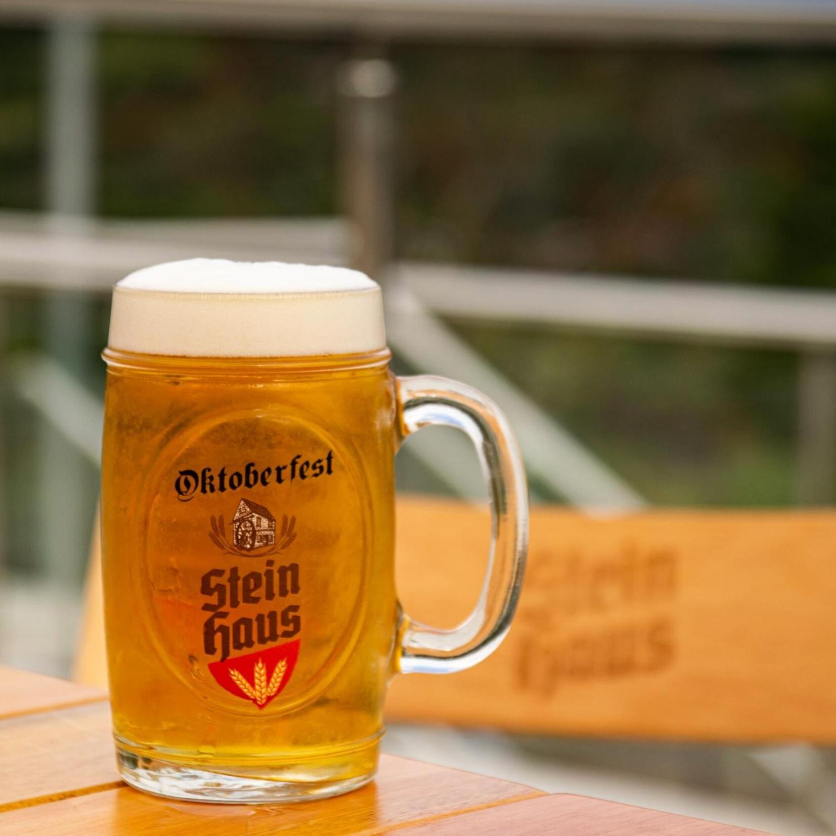Pousada Stein Haus 皮卡达卡费 外观 照片